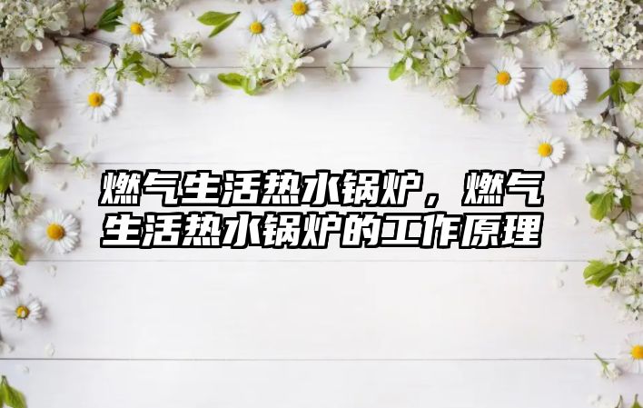 燃氣生活熱水鍋爐，燃氣生活熱水鍋爐的工作原理