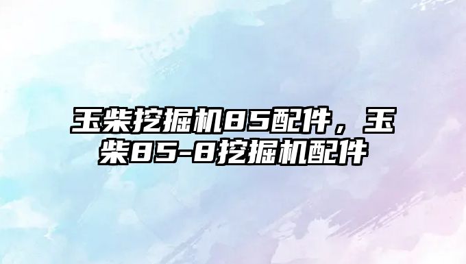 玉柴挖掘機(jī)85配件，玉柴85-8挖掘機(jī)配件
