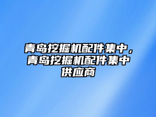 青島挖掘機(jī)配件集中，青島挖掘機(jī)配件集中供應(yīng)商
