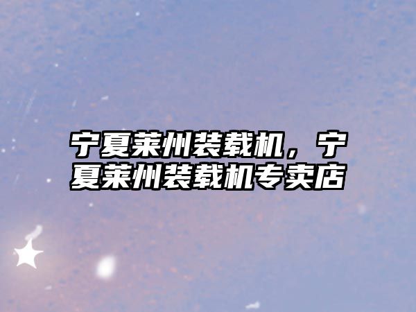 寧夏萊州裝載機(jī)，寧夏萊州裝載機(jī)專賣(mài)店