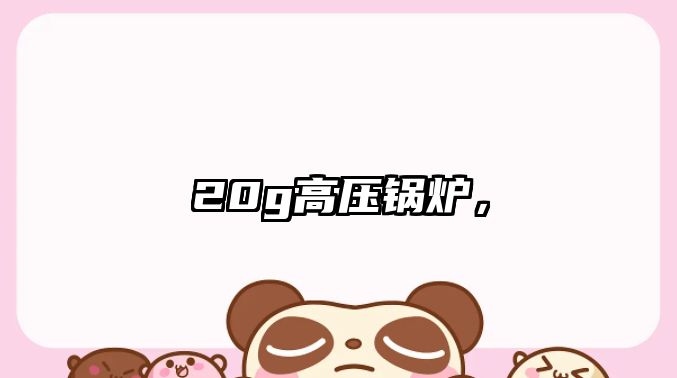 20g高壓鍋爐，