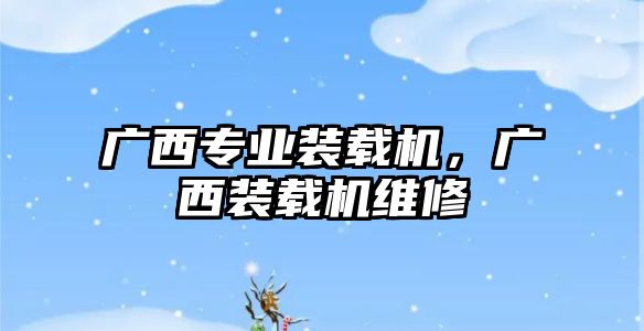 廣西專業(yè)裝載機(jī)，廣西裝載機(jī)維修