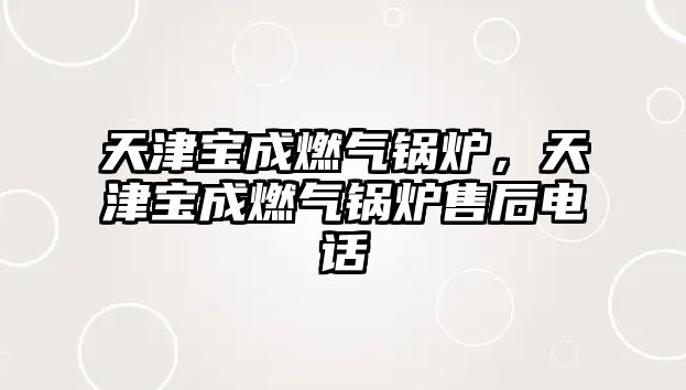 天津寶成燃氣鍋爐，天津寶成燃氣鍋爐售后電話