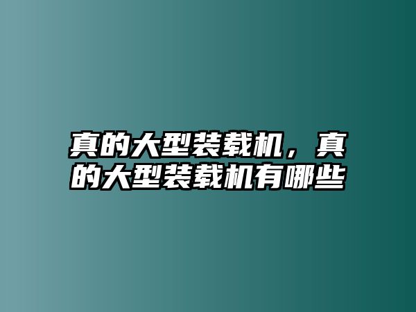 真的大型裝載機，真的大型裝載機有哪些