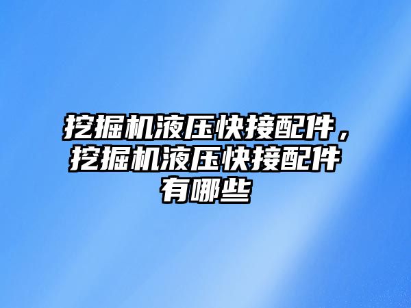 挖掘機(jī)液壓快接配件，挖掘機(jī)液壓快接配件有哪些