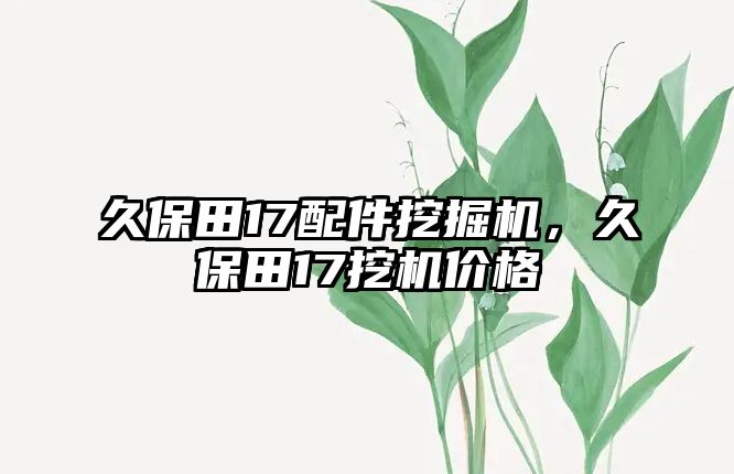久保田17配件挖掘機，久保田17挖機價格