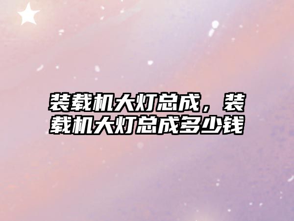 裝載機(jī)大燈總成，裝載機(jī)大燈總成多少錢