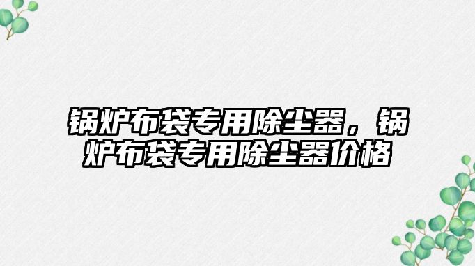 鍋爐布袋專用除塵器，鍋爐布袋專用除塵器價(jià)格