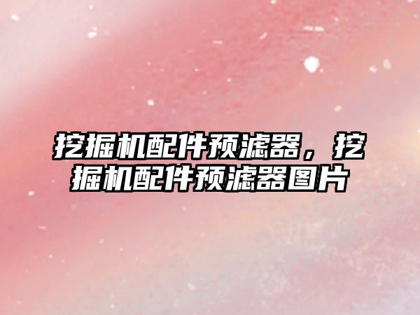 挖掘機(jī)配件預(yù)濾器，挖掘機(jī)配件預(yù)濾器圖片