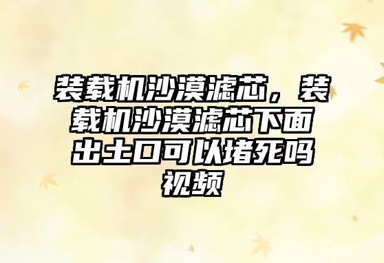 裝載機(jī)沙漠濾芯，裝載機(jī)沙漠濾芯下面出土口可以堵死嗎視頻