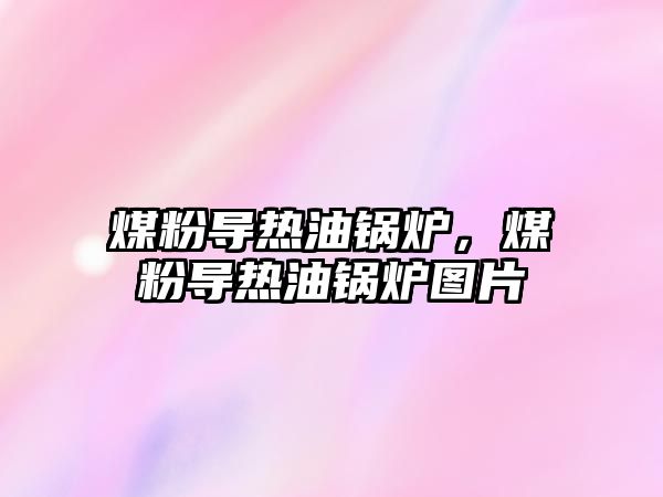 煤粉導(dǎo)熱油鍋爐，煤粉導(dǎo)熱油鍋爐圖片