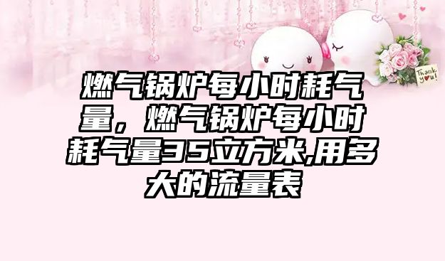 燃?xì)忮仩t每小時耗氣量，燃?xì)忮仩t每小時耗氣量35立方米,用多大的流量表