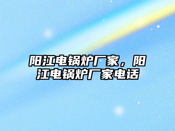 陽江電鍋爐廠家，陽江電鍋爐廠家電話