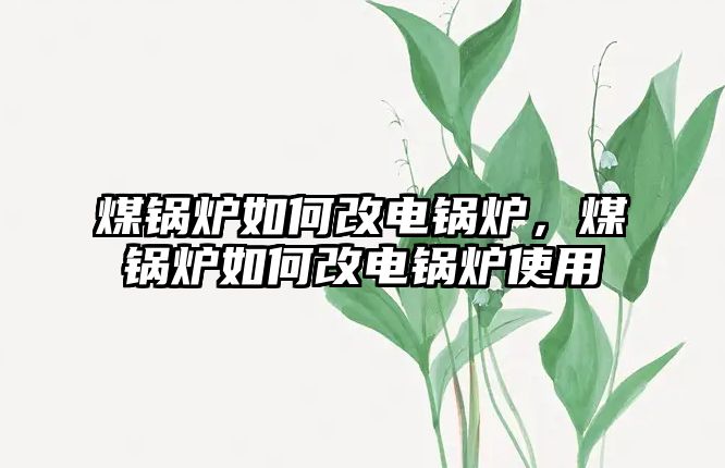 煤鍋爐如何改電鍋爐，煤鍋爐如何改電鍋爐使用