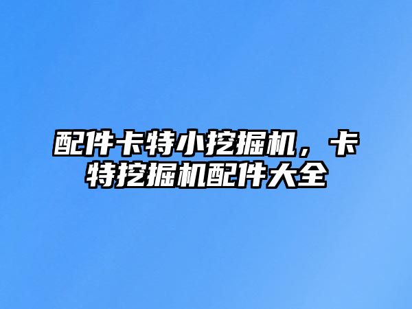 配件卡特小挖掘機(jī)，卡特挖掘機(jī)配件大全