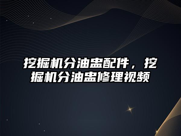挖掘機(jī)分油盅配件，挖掘機(jī)分油盅修理視頻