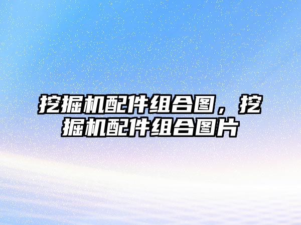 挖掘機(jī)配件組合圖，挖掘機(jī)配件組合圖片