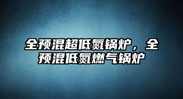 全預(yù)混超低氮鍋爐，全預(yù)混低氮燃?xì)忮仩t