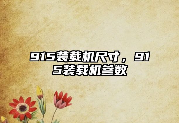 915裝載機(jī)尺寸，915裝載機(jī)參數(shù)
