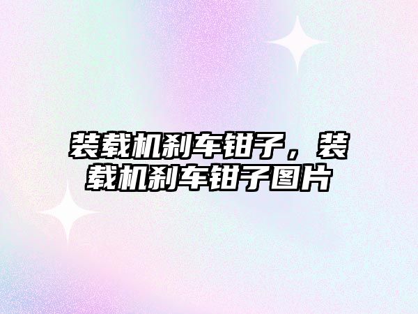 裝載機(jī)剎車鉗子，裝載機(jī)剎車鉗子圖片