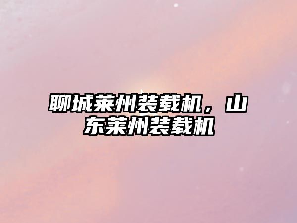 聊城萊州裝載機，山東萊州裝載機