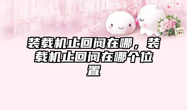 裝載機止回閥在哪，裝載機止回閥在哪個位置