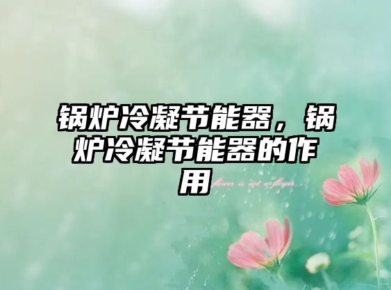 鍋爐冷凝節(jié)能器，鍋爐冷凝節(jié)能器的作用
