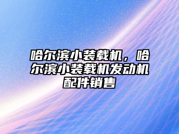 哈爾濱小裝載機，哈爾濱小裝載機發(fā)動機配件銷售