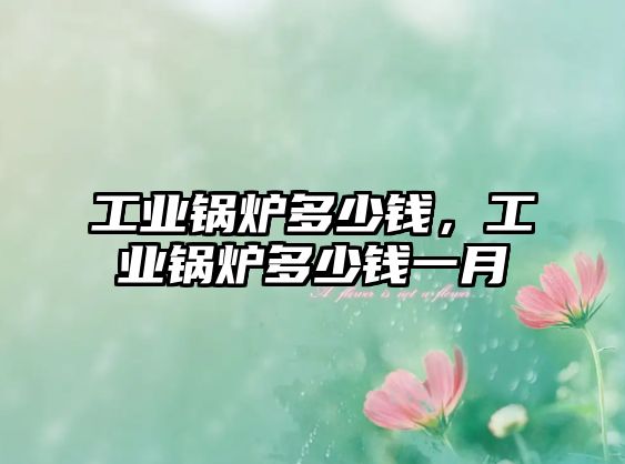 工業(yè)鍋爐多少錢(qián)，工業(yè)鍋爐多少錢(qián)一月