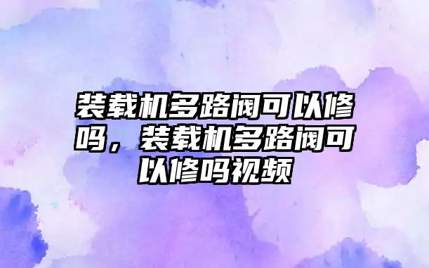 裝載機多路閥可以修嗎，裝載機多路閥可以修嗎視頻
