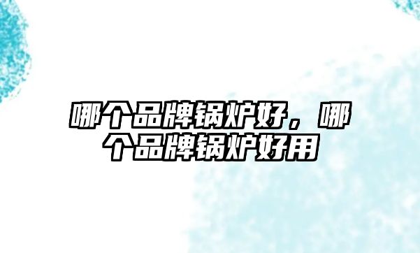 哪個(gè)品牌鍋爐好，哪個(gè)品牌鍋爐好用