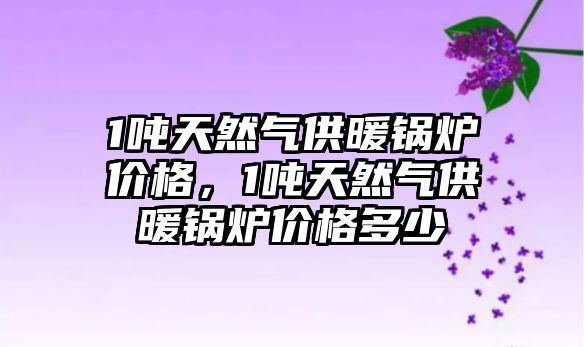 1噸天然氣供暖鍋爐價格，1噸天然氣供暖鍋爐價格多少
