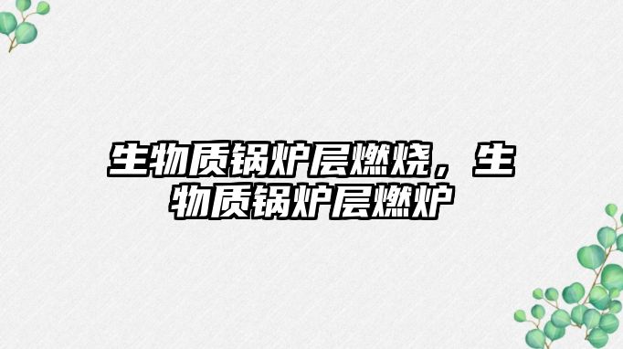 生物質(zhì)鍋爐層燃燒，生物質(zhì)鍋爐層燃爐