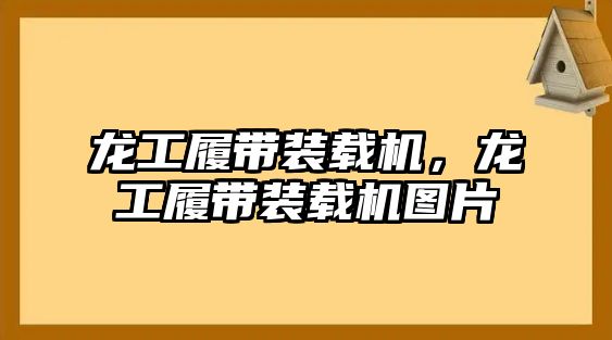 龍工履帶裝載機(jī)，龍工履帶裝載機(jī)圖片