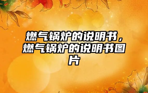 燃?xì)忮仩t的說(shuō)明書，燃?xì)忮仩t的說(shuō)明書圖片