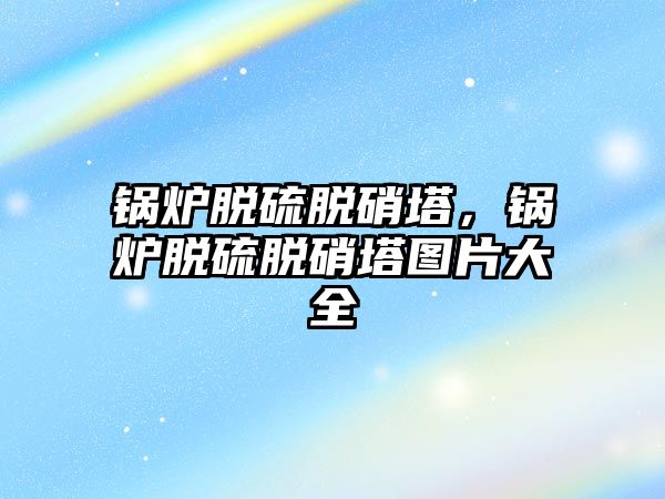 鍋爐脫硫脫硝塔，鍋爐脫硫脫硝塔圖片大全