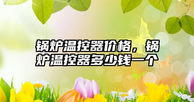 鍋爐溫控器價(jià)格，鍋爐溫控器多少錢一個(gè)