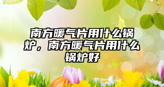 南方暖氣片用什么鍋爐，南方暖氣片用什么鍋爐好