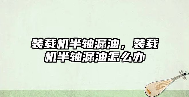 裝載機半軸漏油，裝載機半軸漏油怎么辦