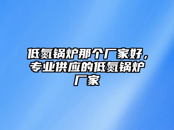 低氮鍋爐那個廠家好，專業(yè)供應的低氮鍋爐廠家