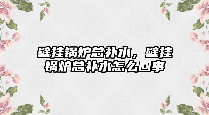 壁掛鍋爐總補水，壁掛鍋爐總補水怎么回事
