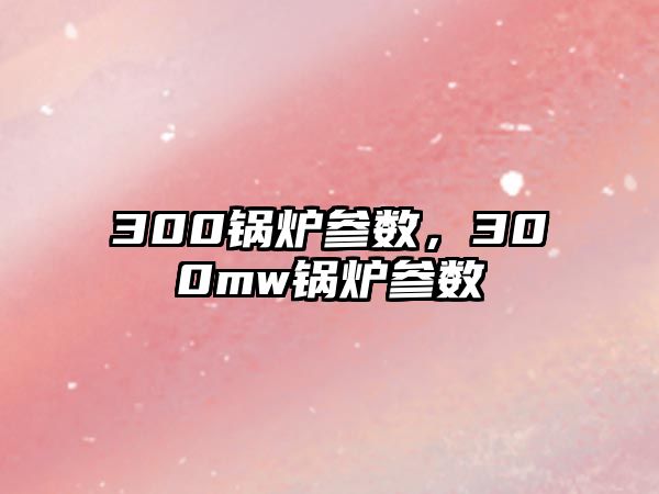 300鍋爐參數(shù)，300mw鍋爐參數(shù)