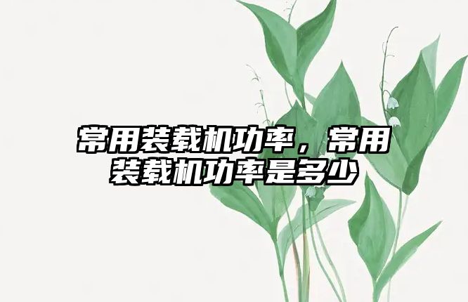 常用裝載機(jī)功率，常用裝載機(jī)功率是多少
