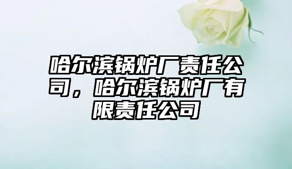 哈爾濱鍋爐廠責任公司，哈爾濱鍋爐廠有限責任公司