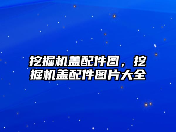 挖掘機蓋配件圖，挖掘機蓋配件圖片大全