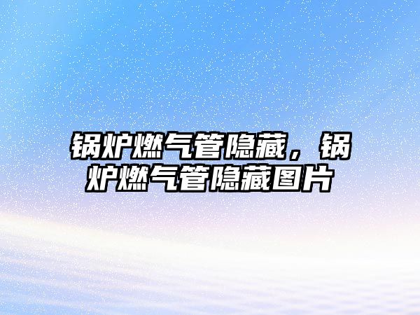 鍋爐燃?xì)夤茈[藏，鍋爐燃?xì)夤茈[藏圖片
