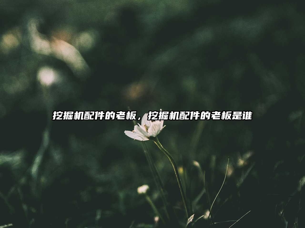 挖掘機(jī)配件的老板，挖掘機(jī)配件的老板是誰(shuí)