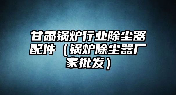 甘肅鍋爐行業(yè)除塵器配件（鍋爐除塵器廠家批發(fā)）