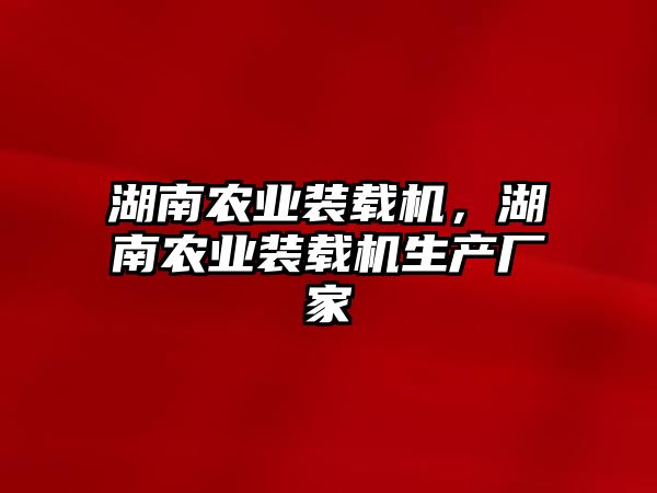 湖南農(nóng)業(yè)裝載機，湖南農(nóng)業(yè)裝載機生產(chǎn)廠家