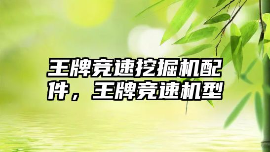 王牌競速挖掘機(jī)配件，王牌競速機(jī)型